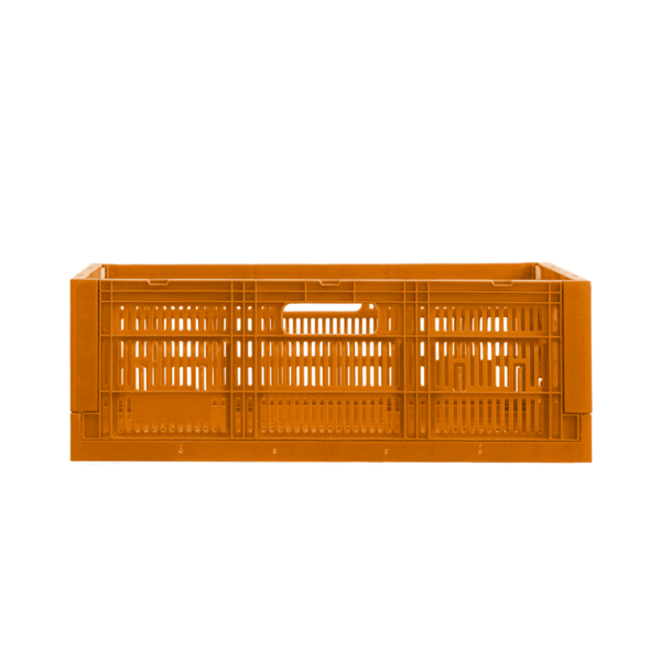 26 03 2024 07 36 48 723 VEU0059.002.png