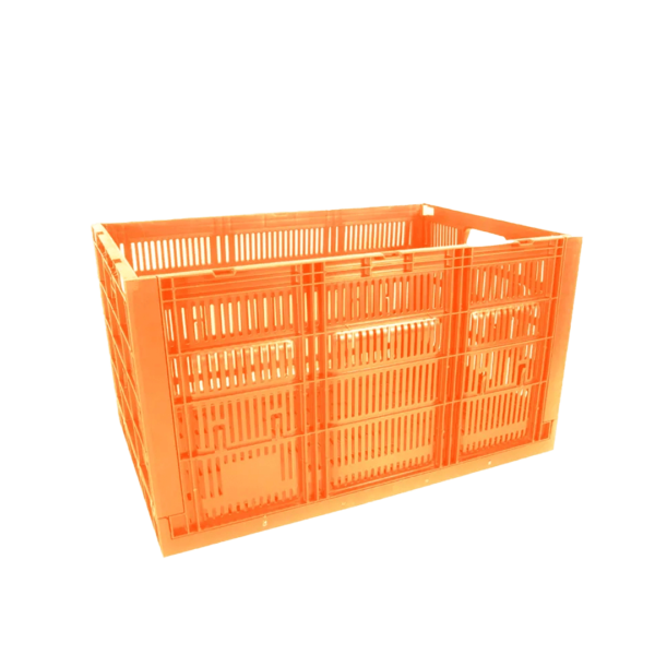 26 03 2024 07 36 49 368 VEU0060.002.png