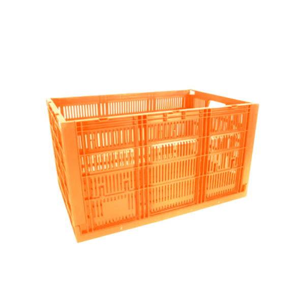 26 03 2024 07 36 50 096 VEU0061.002.png